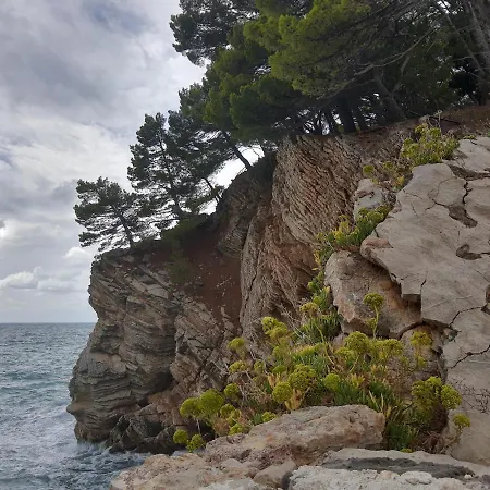 Sea-side Old Stone With A Private Garden Villa *