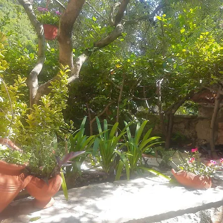Sea-side Old Stone With A Private Garden Budva